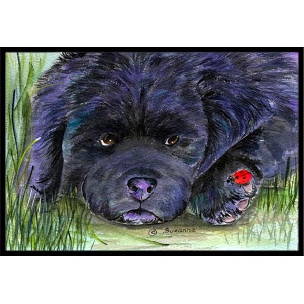 Carolines Treasures SS8272MAT 18 x 27 in. Newfoundland Indoor Outdoor Doormat SS8272MAT - main